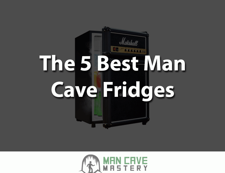 5 best man cave fridges
